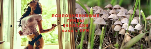 тгк Приозерск