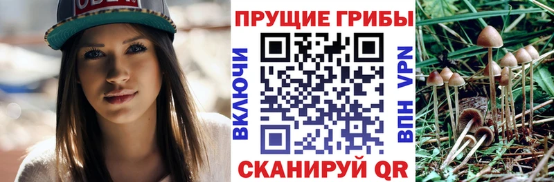 Галлюциногенные грибы прущие грибы  Темрюк 